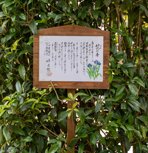_DSC9724.jpg